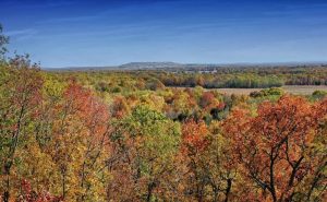 Scenic Arkansas landscape of multicolored trees. | Landmark locations to visit around Little Rock, AR.