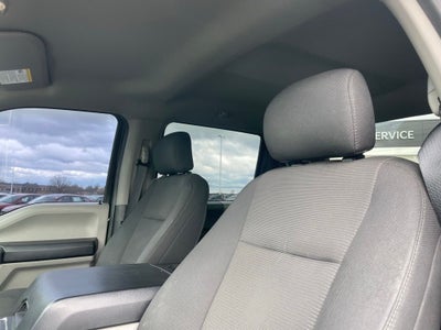 2020 Ford F-150 XL - 5.0L V8 / STX APPEARANCE PKG