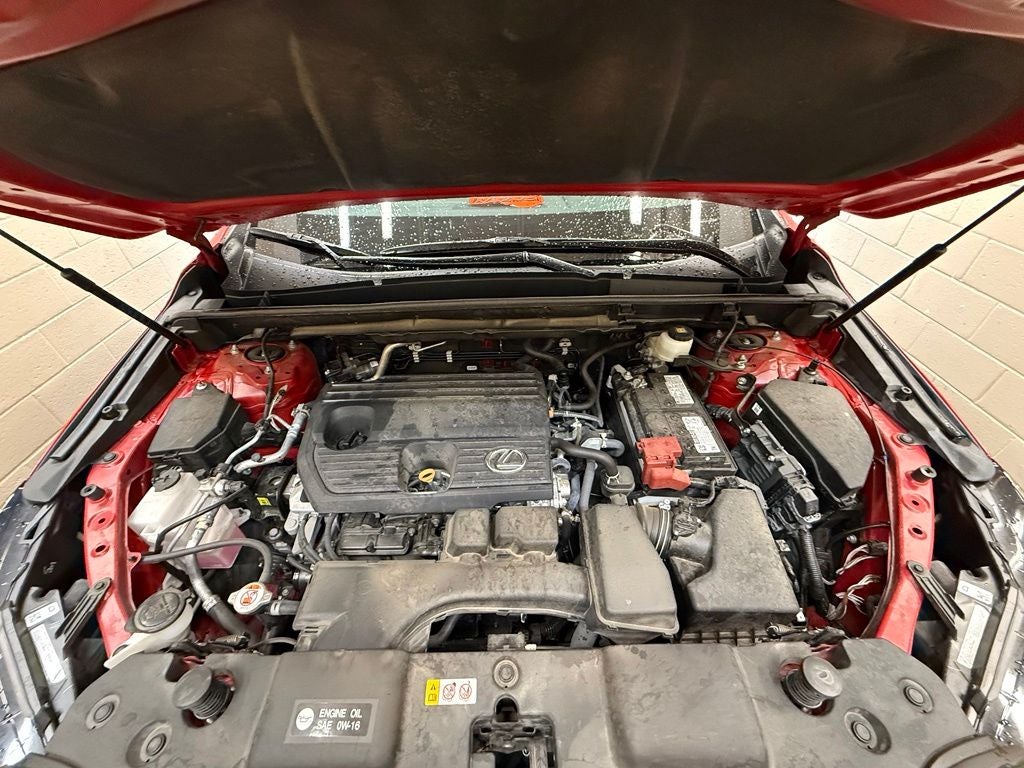 2024 Lexus NX 250 Base