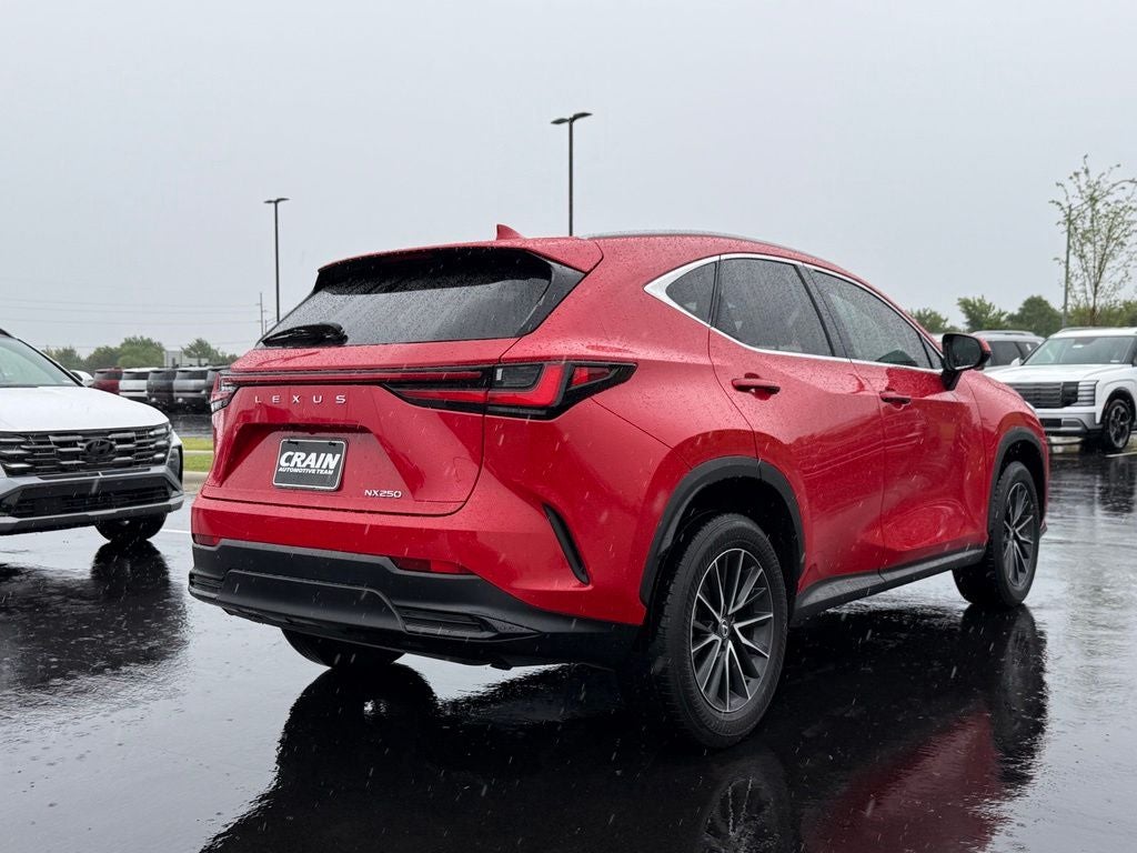 2024 Lexus NX 250 Base