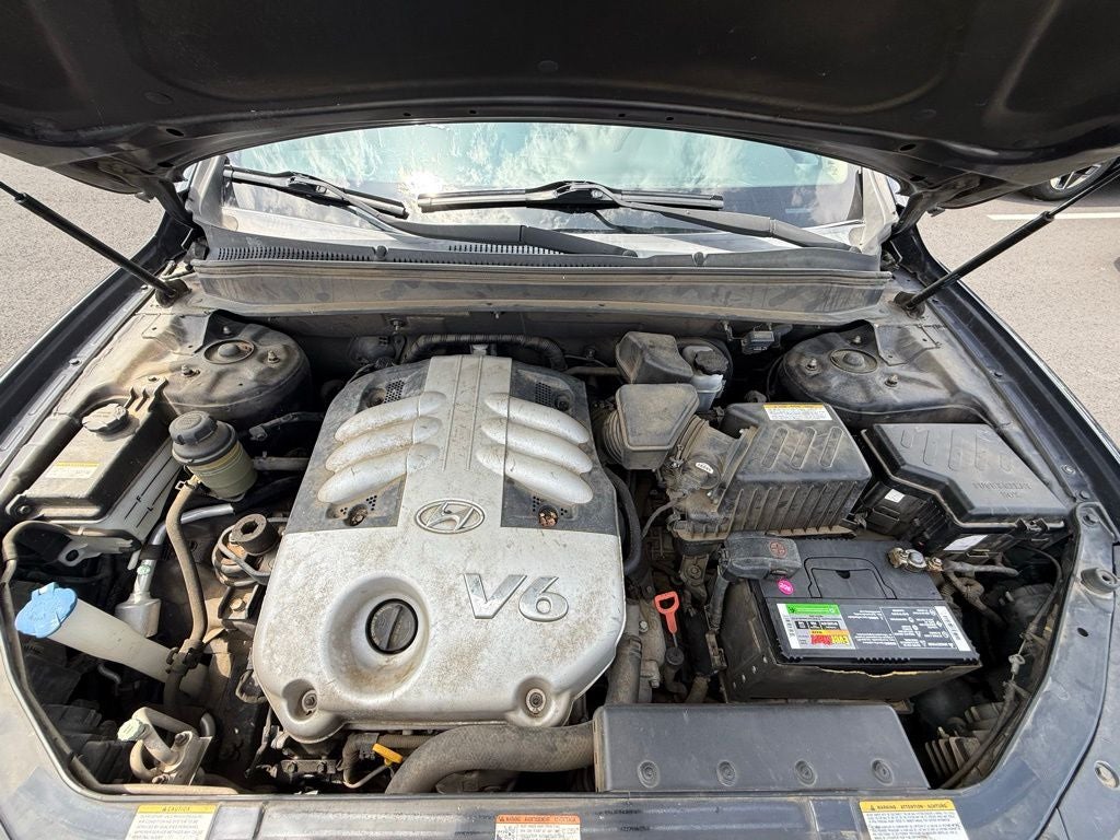 2007 Hyundai SANTA FE SE