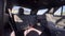 2025 Ford Explorer ST-Line 4X4 / ONE OWNER / MOONROOF / NAV